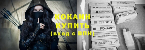 индика Абаза