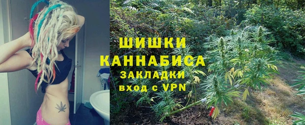 индика Абаза