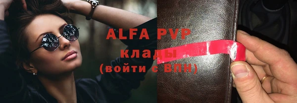 индика Майский