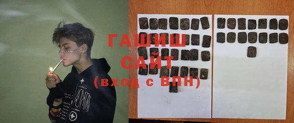индика Абаза