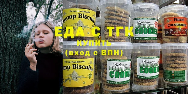 индика Абаза