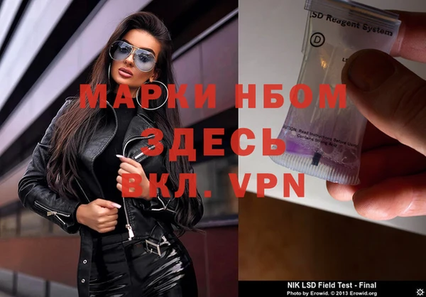 хмурый Магас