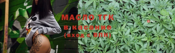 индика Абаза
