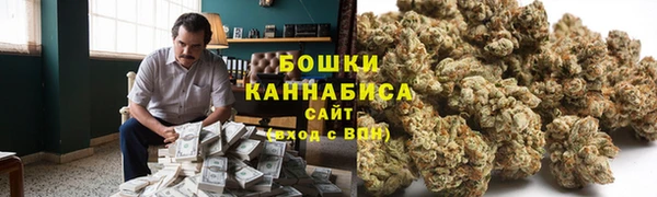 хмурый Магас