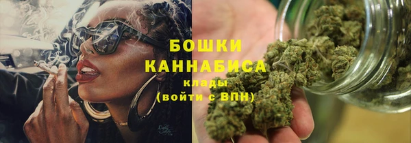 хмурый Магас